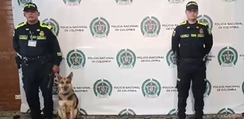 Incautados 35 kgs de marihuana en el aeropuerto El Dorado.