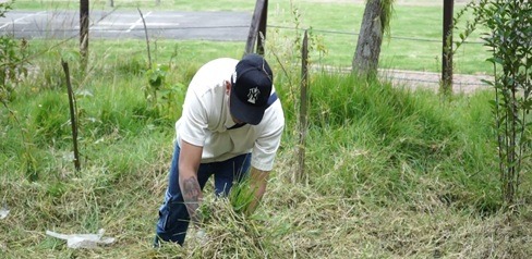 Ciudadanos participando en jornada de trabajo comunitario.