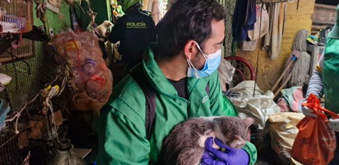 Rescatan a 30 animales en estado de abandono en una casa en la localidad de Santa Fe