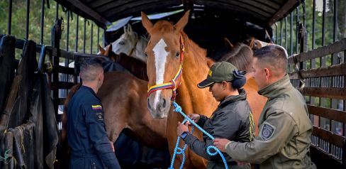 Caballos se pensionaron 