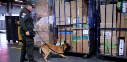 Droga incautada en el aeropuerto