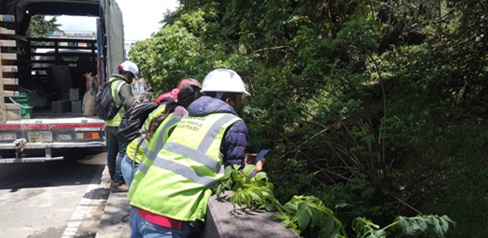 Hombres observando árboles