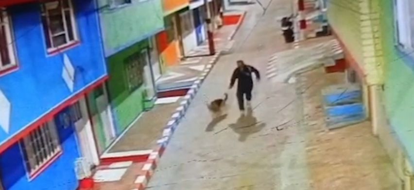 Capturado en Ciudad Bolívar hombre que robaba y maltrataba mascotas 
