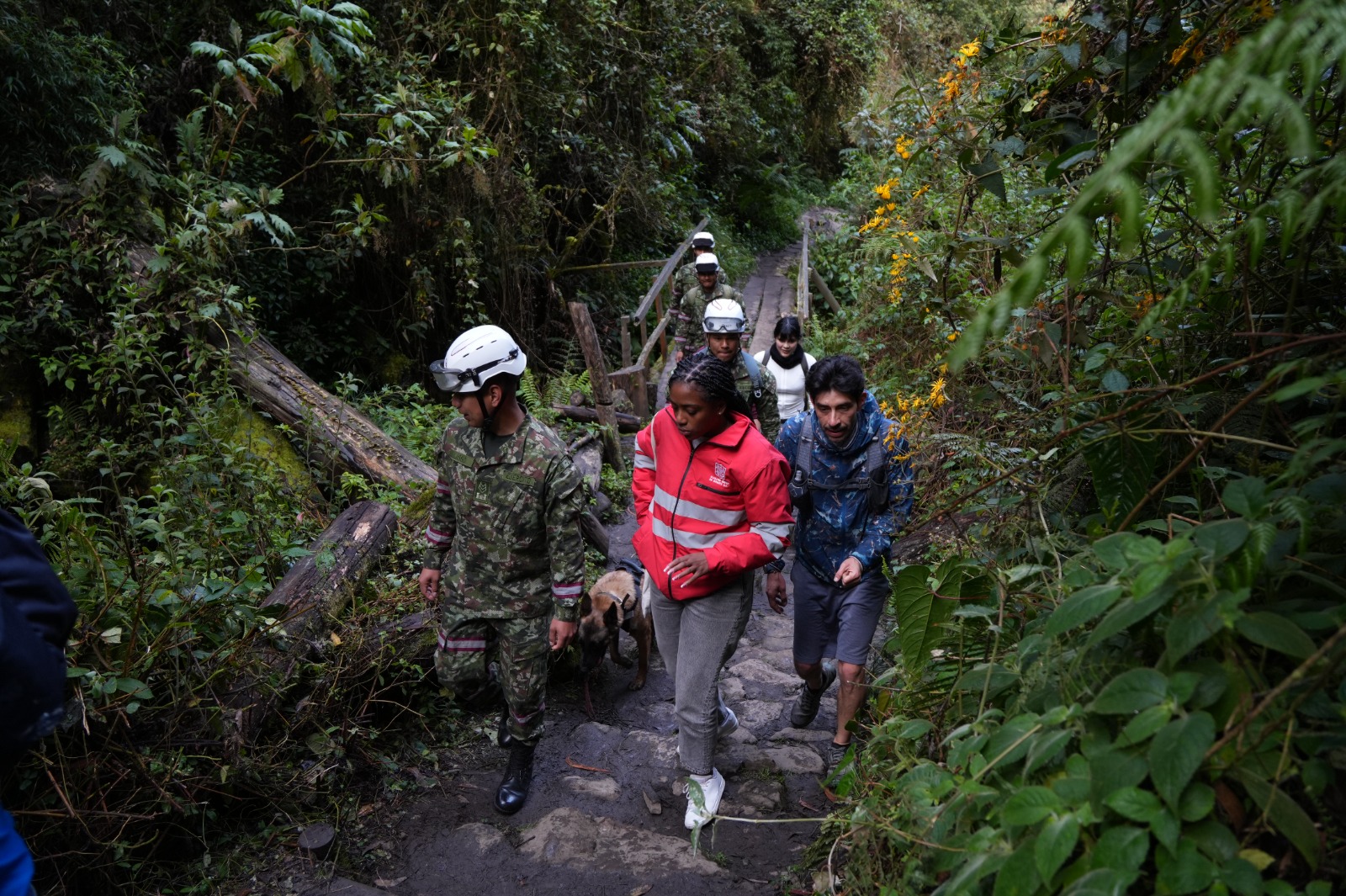 Bogotá refuerza la seguridad en la Quebrada La Vieja con el apoyo de Gestores de Convivencia y brigadistas del Ejército