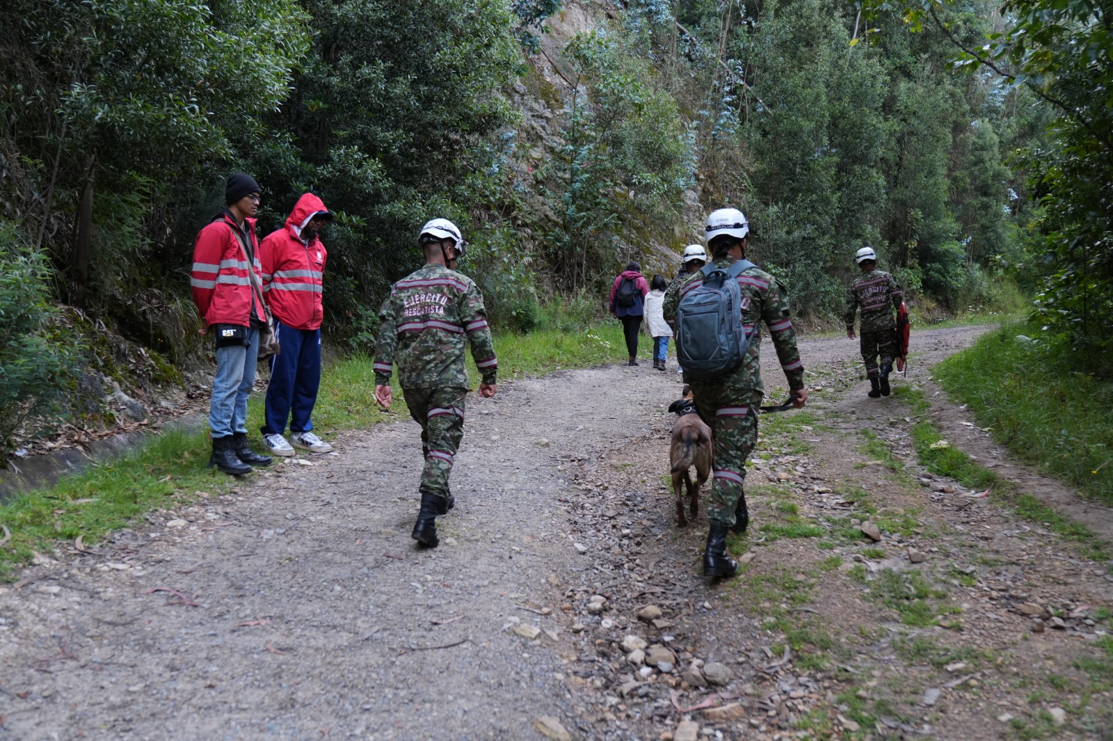 Bogotá refuerza la seguridad en la Quebrada La Vieja con el apoyo de Gestores de Convivencia y brigadistas del Ejército