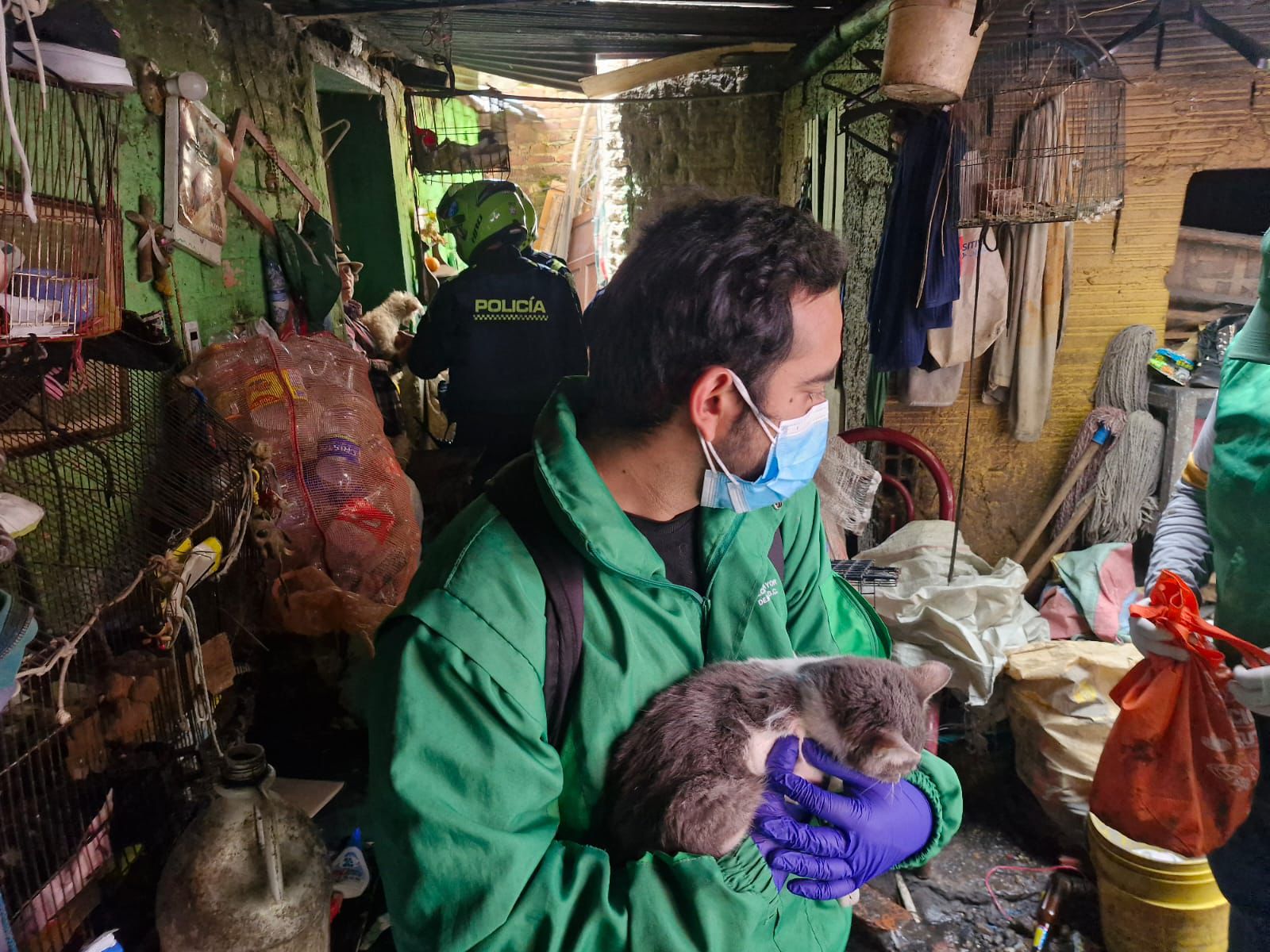 Rescatan a 30 animales en estado de abandono en una casa en la localidad de Santa Fe