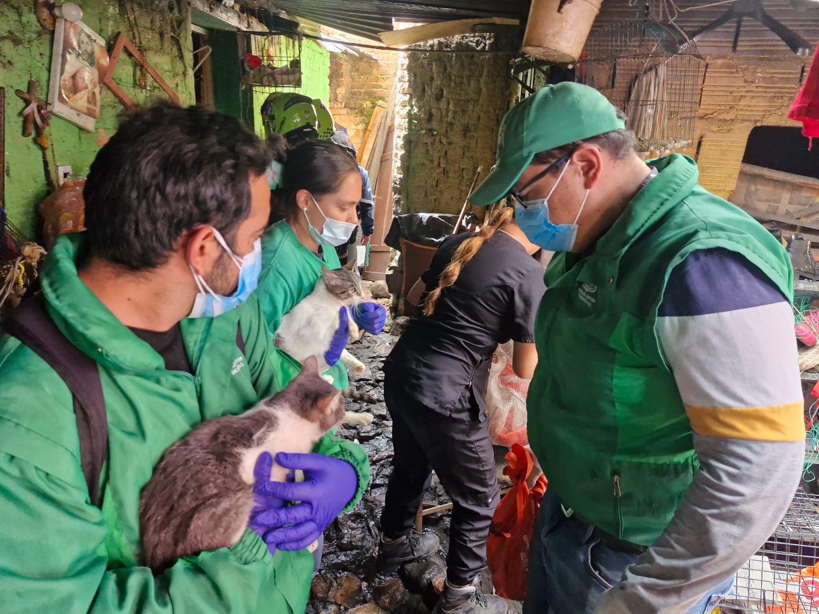 Rescatan a 30 animales en estado de abandono en una casa en la localidad de Santa Fe