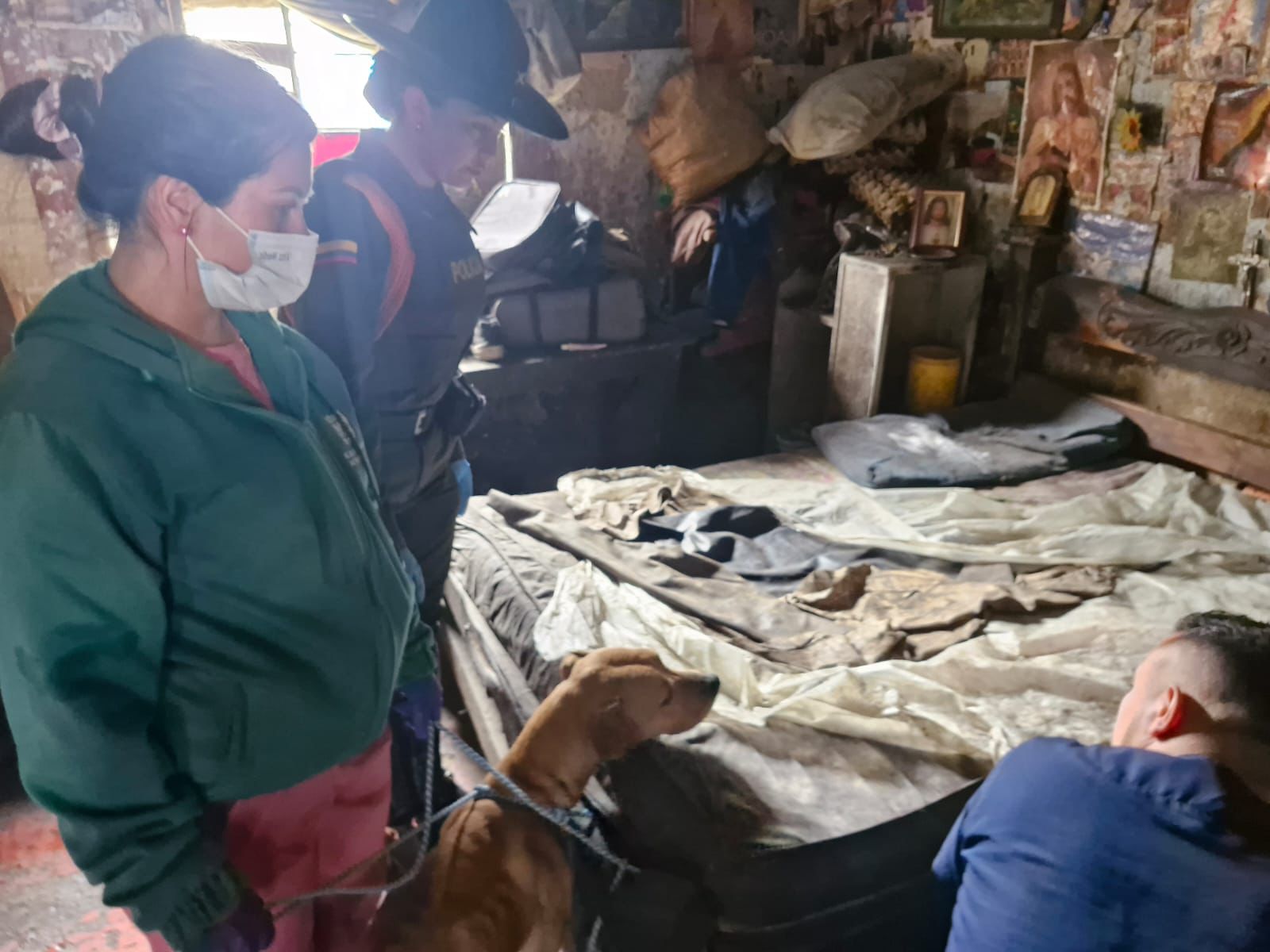 Rescatan a 30 animales en estado de abandono en una casa en la localidad de Santa Fe