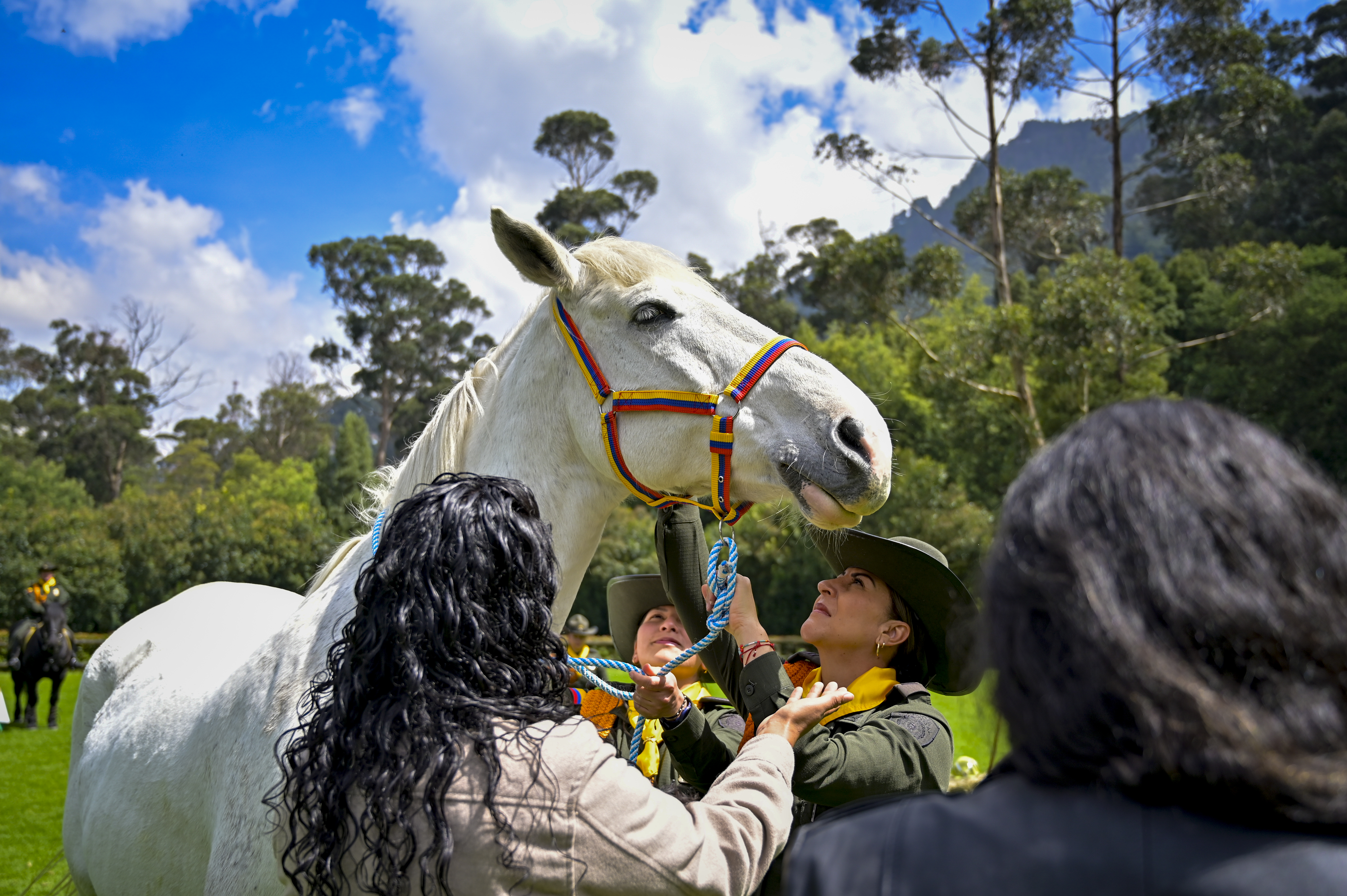 Caballos se pensionaron 