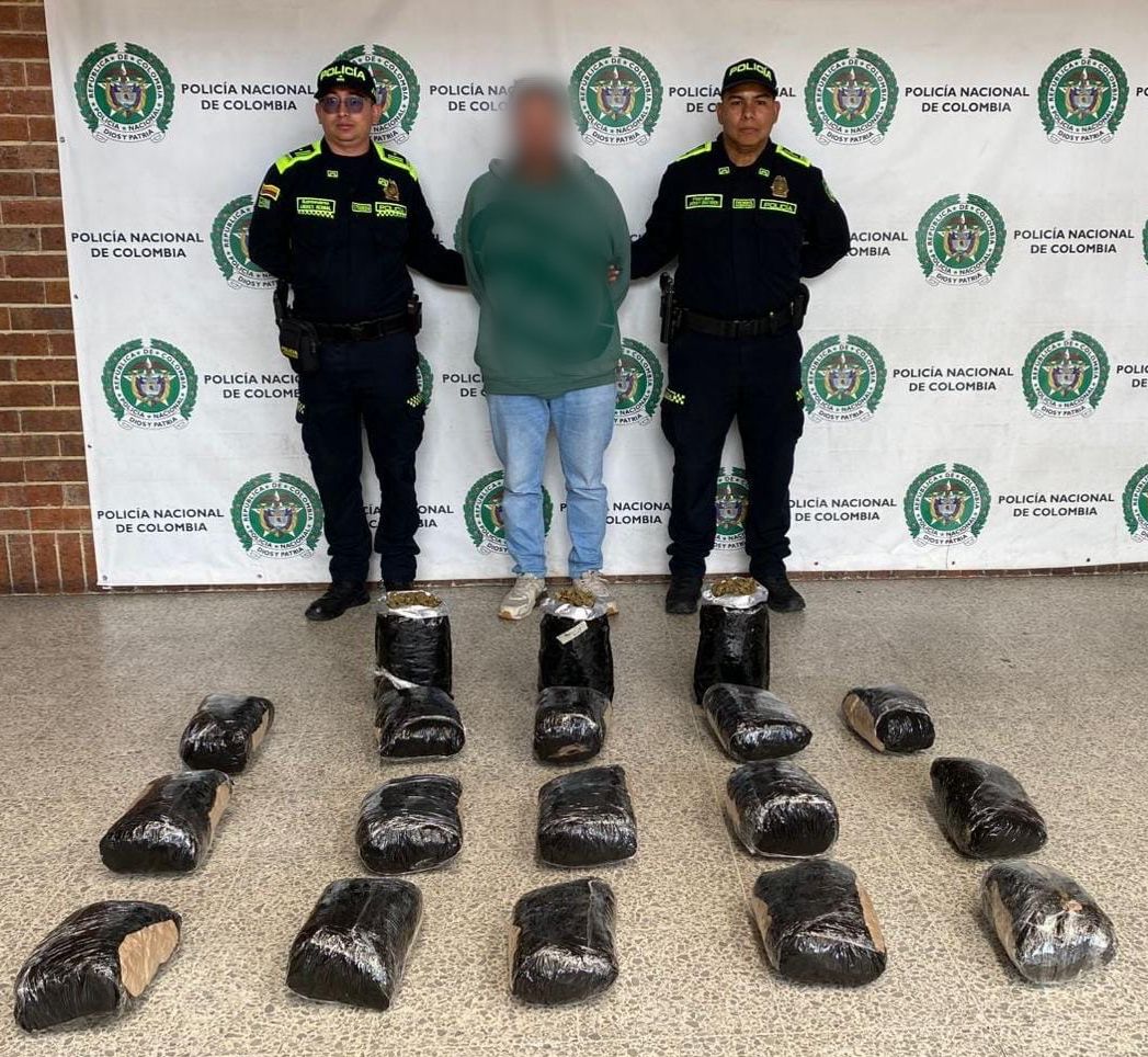 Al descubierto cámara de cultivo hidropónico de marihuana en una vivienda de San Cristóbal: una persona fue capturada