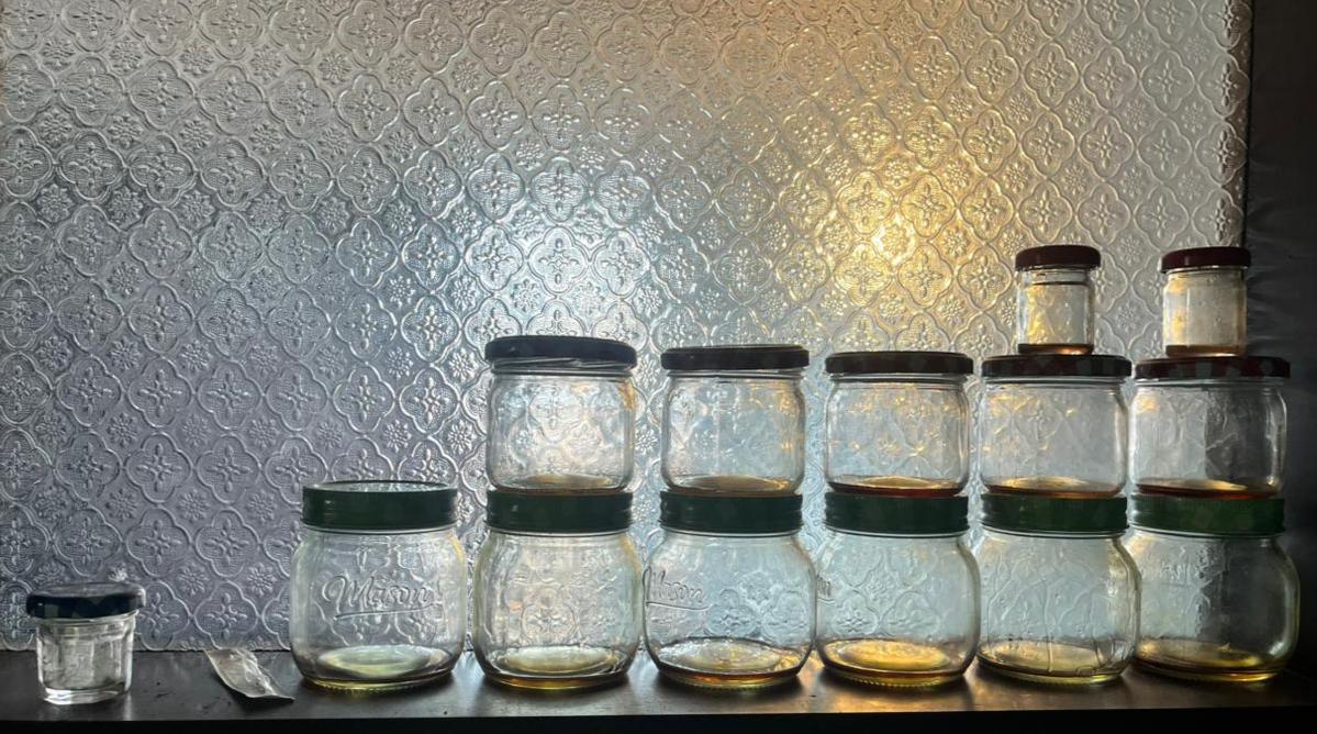 Al descubierto cámara de cultivo hidropónico de marihuana en una vivienda de San Cristóbal: una persona fue capturada