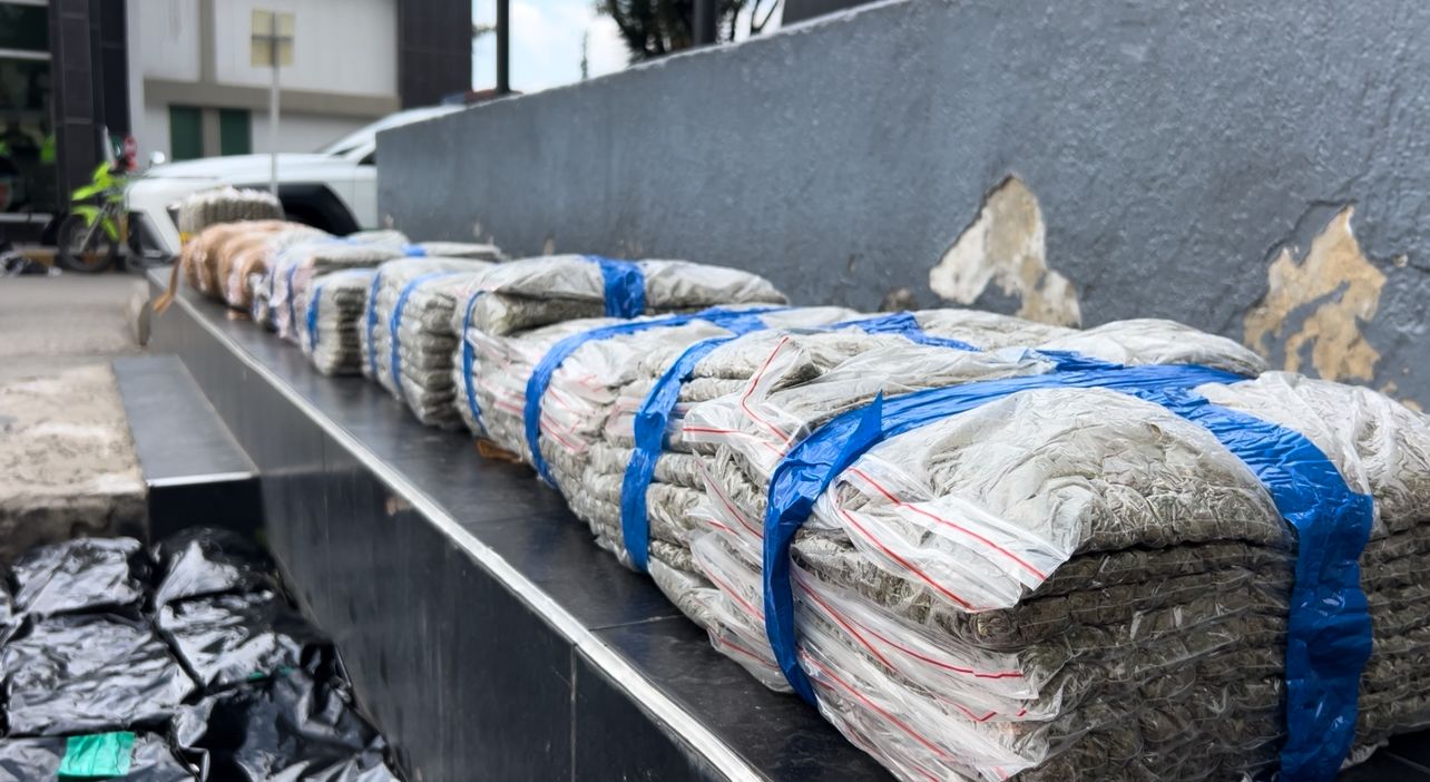 Incautada media tonelada de marihuana oculta en un vehículo en la localidad de Kennedy