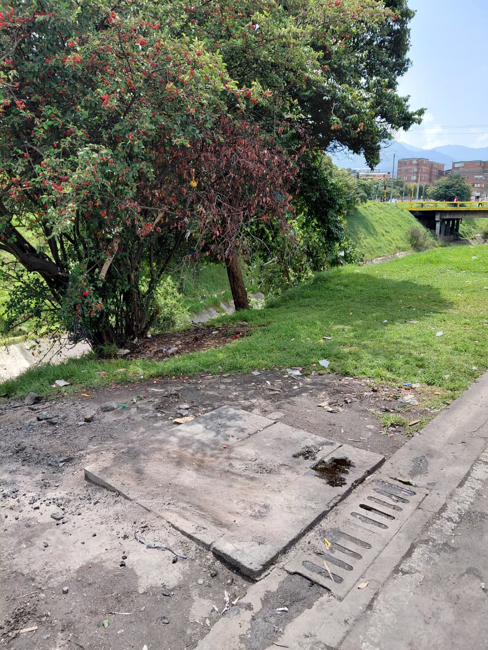 Sector de un caño limpio de basura