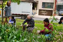 Personas arreglando un jardín
